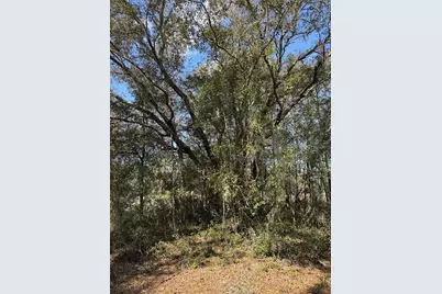 0 Courlan Road, Brooksville, FL 34614 - Photo 2