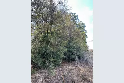 0 Courlan Road, Brooksville, FL 34614 - Photo 6