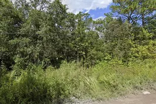 00 Morton St, New Port Richey, FL 34654 - Photo 1