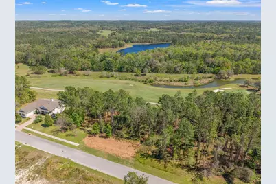 20044 English Walnut Place, Brooksville, FL 34601 - Photo 8