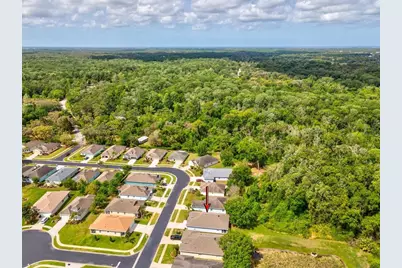 11050 Kiskadee Circle, New Port Richey, FL 34654 - Photo 34