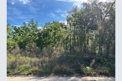 11042 Bounty Street, New Port Richey, FL 34654 - Photo 2