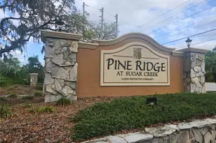 12119 Sunny Glen Ln, Hudson, FL 34669 - Photo 10