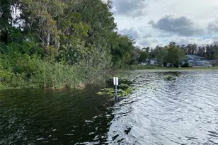 11444 Lake Dr, New Port Richey, FL 34654 - Photo 16