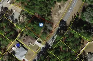 9561 N Travis Dr, Dunnellon, FL 34434 - Photo 1