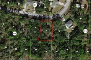 3016 W Kirkwood Pl, Dunnellon, FL 34433 - Photo 1