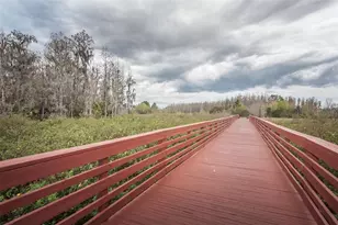 3515 Albritton St, New Port Richey, FL 34655 - Photo 62