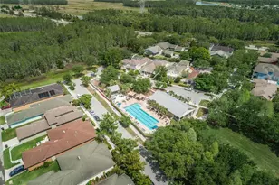 3515 Albritton St, New Port Richey, FL 34655 - Photo 30