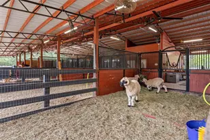 3431 Saturn Rd, Brooksville, FL 34604 - Photo 58