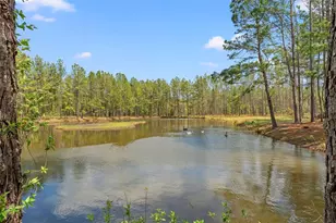 3431 Saturn Rd, Brooksville, FL 34604 - Photo 78