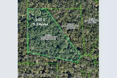Republican (Lot 5) Way, Brooksville, FL 34601 - Photo 2