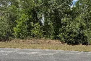 2235 W Summer Pl, Citrus Springs, FL 34434 - Photo 1