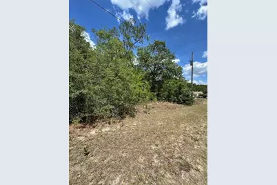 2235 W Summer Place, Citrus Springs, FL 34434 - Photo 6