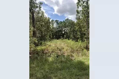 14040 Ruffed Grouse Road, Brooksville, FL 34614 - Photo 2