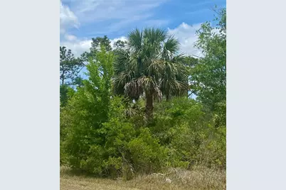 18484 Parallel Road, Weeki Wachee, FL 34614 - Photo 2