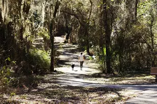 1952 N Essex Ave, Hernando, FL 34442 - Photo 60