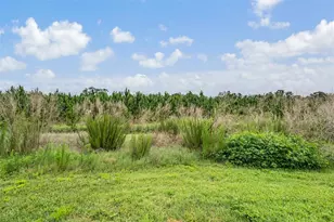 8417 Danbury Ln, Hudson, FL 34667 - Photo 40