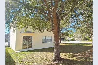 19551 Timberbluff Drive, Land O Lakes, FL 34638 - Photo 6