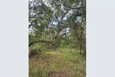 0 Emerson Road, Brooksville, FL 34601 - Photo 6