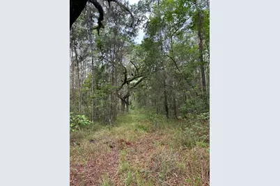 0 Emerson Road, Brooksville, FL 34601 - Photo 8