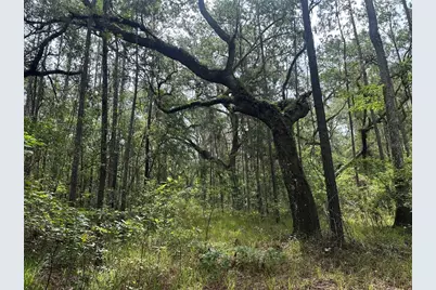 0 Emerson Road, Brooksville, FL 34601 - Photo 2