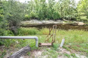 6234 Cyril Dr, Dade City, FL 33523 - Photo 46