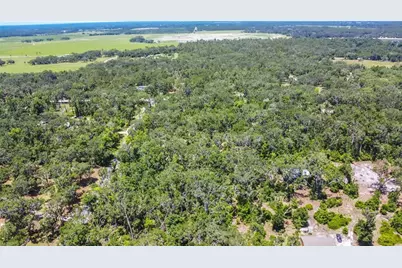 105 NE 239th Avenue, Old Town, FL 32680 - Photo 24