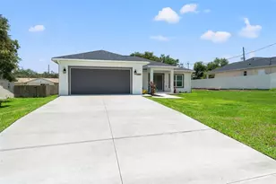 5328 Baldock Ave, Spring Hill, FL 34608 - Photo 10
