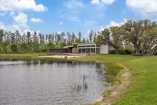 11398 Juglans Dr, Odessa, FL 33556 - Photo 88