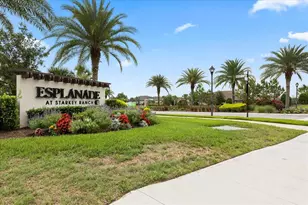 11398 Juglans Dr, Odessa, FL 33556 - Photo 66