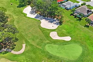 10155 Duffy Cir, Weeki Wachee, FL 34613 - Photo 100