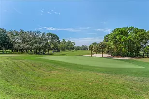 10155 Duffy Cir, Weeki Wachee, FL 34613 - Photo 86