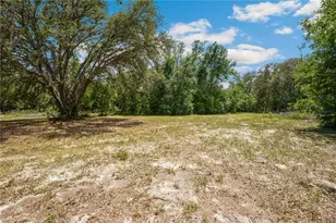 4131 Burwell, Webster, FL 33597 - Photo 40