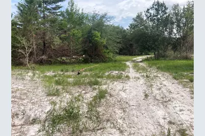 12643 Placid Road, Hudson, FL 34667 - Photo 2