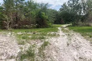 12643 Placid Rd, Hudson, FL 34667 - Photo 2