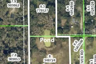 Rain Forest Rd, Brooksville, FL 34601 - Photo 1