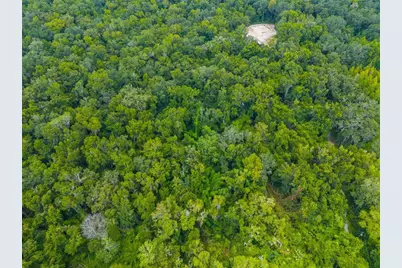 Rain Forest Road, Brooksville, FL 34601 - Photo 10