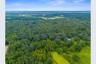 Rain Forest Road, Brooksville, FL 34601 - Photo 4