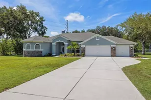 9431 Amidon St, Spring Hill, FL 34608 - Photo 4