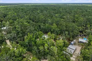 1528 Palm Street NE, Steinhatchee, FL 32359 - Photo 32