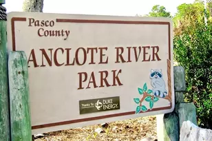 2326 Prestige Dr, Holiday, FL 34690 - Photo 64