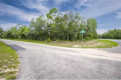 1287 W Evergreen Drive, Citrus Springs, FL 34434 - Photo 8