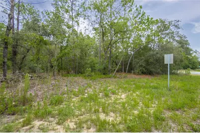 1287 W Evergreen Drive, Citrus Springs, FL 34434 - Photo 4