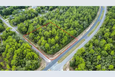 1287 W Evergreen Drive, Citrus Springs, FL 34434 - Photo 2