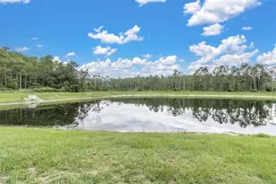 11876 Ranchers Gap Dr, Odessa, FL 33556 - Photo 26