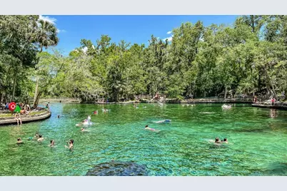 757 Mystic Gardens Drive, Apopka, FL 32703 - Photo 4