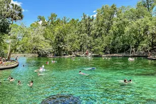 757 Mystic Gdns Dr, Apopka, FL 32703 - Photo 4