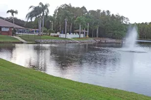 9433 Stonewall Ln, New Port Richey, FL 34655 - Photo 46