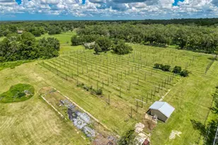 3011 Endsley Rd, Brooksville, FL 34604 - Photo 48