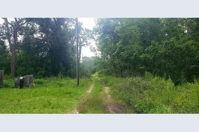 Tbd Ladd Ave, New Port Richey, FL 34654 - Photo 2